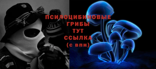 mdma Белокуриха