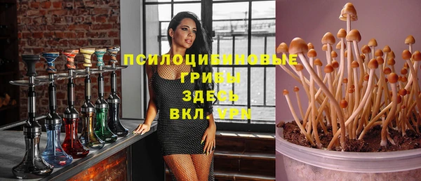 крисы Белоозёрский