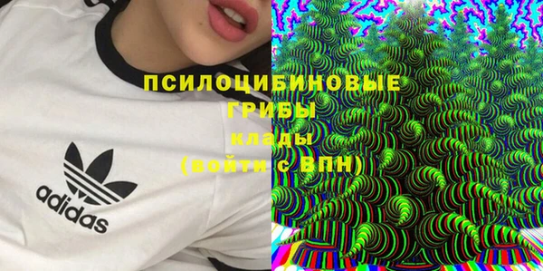 крисы Белоозёрский