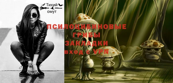крисы Белоозёрский